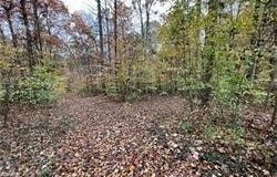 Aladdin Road, Pfafftown, NC 27040