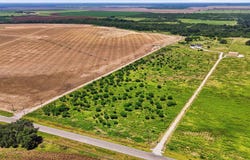 FM 187, Sabinal, TX 78881