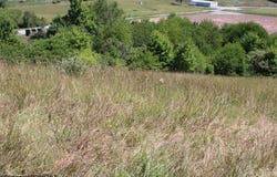 Ashburn Drive, Buckhannon, WV 26201