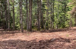 50 Bunchberry Lane, Bristol, ME 04554