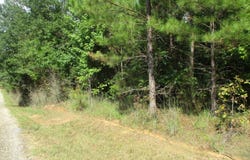 Allen Trail, Carson, MS 39427