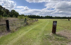 Grady Rd., Mullins, SC 29574
