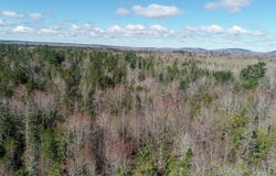 M92L2-1 Route 1A, Ellsworth, ME 04605