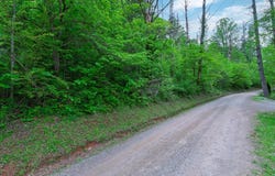 54 Crestline Drive, Franklin, NC 28734