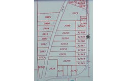 3 RS CR 1430, Point, TX 75472