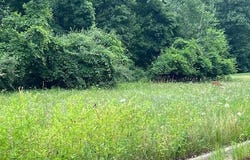 Oak Ridge Hills, Marshall, MI 49068