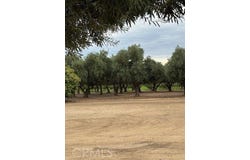 Kibby, Merced, CA 95340