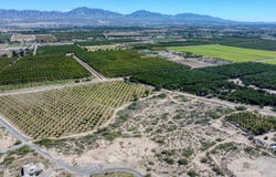 230 Sandy Creek Road, Anthony, NM 88021