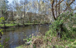 5815 ROSE VALLEY Rd, Kelso, WA 98626