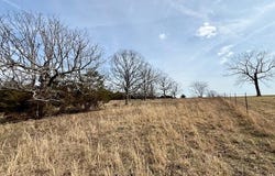 Highway M, Cabool, MO 65689