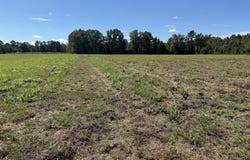 15844 Ace Basin (Lot #3) Parkway, Round O, SC 29474