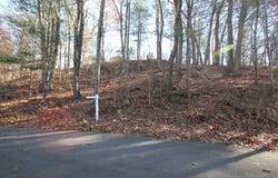 W Birch Rd, Norfolk, MA 02056