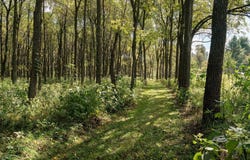 14502 Burrows Ln, Viola, WI 54664