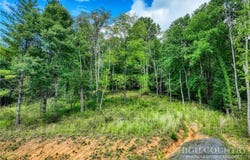 Venue Views Drive, Lansing, NC 28643