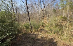 1083 Left Fork Toler Creek, Harold, KY 41635