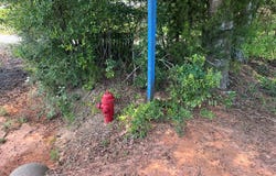 County Road 45, Headland, AL 36345