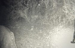 SD 45425, Rocksprings, TX 78880