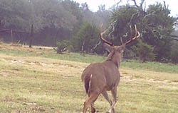 2334 CR 105, Lampasas, TX 76550