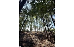 Thompson Road, Greer, SC 29651