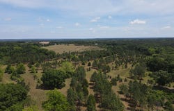 Hwy 84, Elba, AL 36323