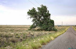 Sandhill Ave, Roswell, NM 88201