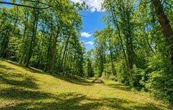 Cedar Drive, Scott Depot, WV 25560