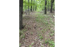 467 Roosevelt Avenue, Cairo, NY 12413