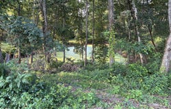 Button Ridge Rd, Bedford, KY 40006