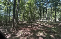 262 Victory Lane, Dalton, PA 18414