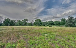 17718 Tranquil Lane, Cat Spring, TX 78933