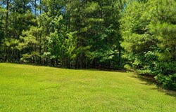 30 Cornish Trace Drive, Covington, GA 30014
