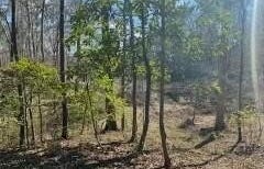 Turkey Creek Road, Natchez, MS 39120