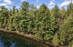 ON HEWITT LN, Oma, WI 54534
