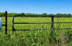 CR 3561, Sulphur Bluff, TX 75481