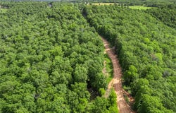 267B NC 3320, Marble Falls, AR 72648