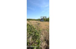 Coon Hollow Rd, Sunbright, TN 37872