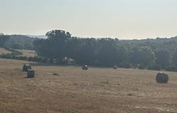S Corinth Roads, Ash Flat, AR 72513