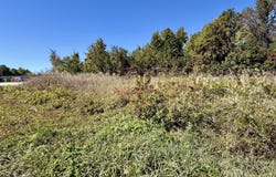 N Straits Highway, Cheboygan, MI 49721