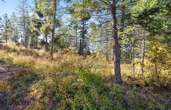 142 Whisper Ridge Drive, Bigfork, MT 59911