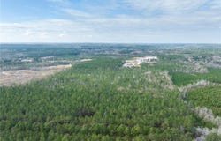 Highway 43, McIntosh, AL 36553
