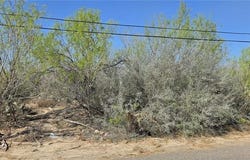 7622 N Los Charcos Drive, Mission, TX 78572