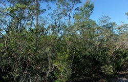 10566 INTERLACHER Drive, SEBRING, FL 33875