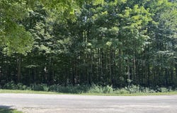 Antioch Drive, Mesick, MI 49668