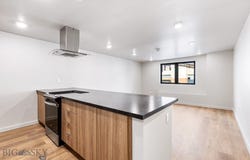 59 E Park Street 202, Butte, MT 59701