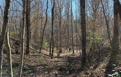 County Road 325, Hamilton, AL 35570