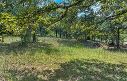 Cummins Road, Dawson Springs, KY 42408