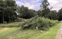106 Pierce Road, Williamston, SC 29697