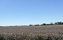 501 State Highway HH, Mathews, MO 63867