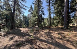 86 Eureka Springs Drive, Blairsden, CA 96103
