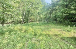 Big Pigeon Road, Procious, WV 25164